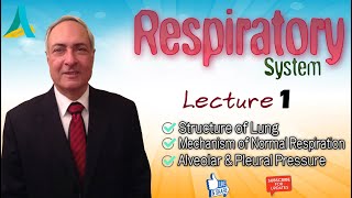 DrNagi  Live Physiology  Lecture 51  Respiration 1 [upl. by Anihsit]