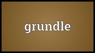 Grundle Meaning [upl. by Carley]