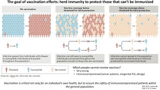 Lecture 8b Vaccine Design [upl. by Dorita599]