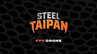 Steel Taipan FPV Drone Footage [upl. by Ardis664]