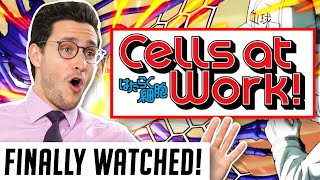 Real Doctor Reacts to CELLS AT WORK Hataraku Saibō [upl. by Jezrdna]