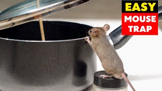 Fry Pan Humane Mouse Trap  Mice Trap  DIY Rat Trap Homemade [upl. by Gnourt]