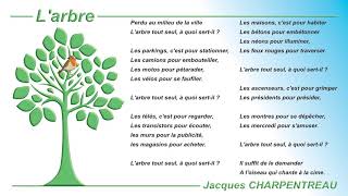 Larbre de Jacques Charpentreau [upl. by Allecnirp]