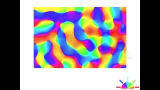 Subcortical orientation biases explain orientation selectivity of visual cortical cells [upl. by Wesla]