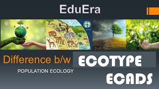 Ecotypes and Ecads in English  Population ecology in English [upl. by Mcmath]