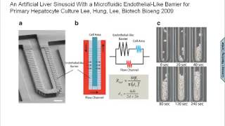 Capturing Complex Tissue Physiology in Vitro for Computational Toxicology [upl. by Itra]