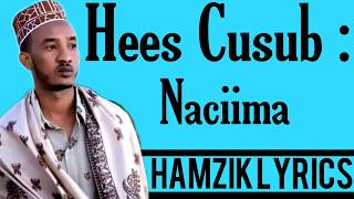 XARIIR AXMED HEES CUSUB NACIIMA OFFICIAL VIDEO HD LYRICS 2020 [upl. by Yauqaj330]