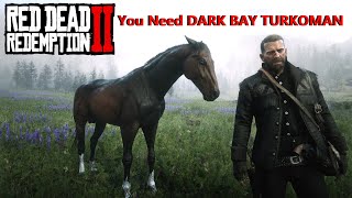 Dark Bay Turkoman Cerberus Get It Early amp Free Red Dead Redemption 2 BestHorses RDR2 [upl. by Gwennie]