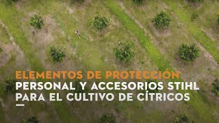 Prepárate y alista la ahoyadora BT 131  Siembra del cultivo de cítricos  Tutorial STIHL [upl. by Kirst]