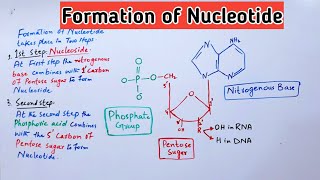 Formation of Nucleotide and Nucleoside Biochemistry Lectures  Jiyas Biology Tutorials [upl. by Sudderth]