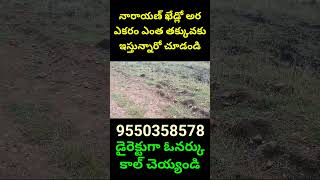 Narayankhed Half Acre Only 95 Lakhs 9550358578 narayankhed farmland telangana realestate plots [upl. by Rodi]