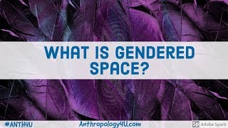 What is Gendered Space [upl. by Tremml847]