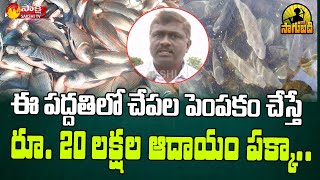 Fish Farming in Telugu  Farmer Chandrasekhar Reddy Success Story  Sakshi TV Sagubadi [upl. by Gans]