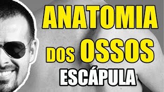 Acidentes ósseos da Escápula antiga Omoplata  Sistema ÓsseoEsquelético  VideoAula 057 [upl. by Barcroft232]