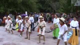 Baile folklorico El Burro [upl. by Akinuahs]