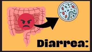 Diarrea semiología [upl. by Akiner]