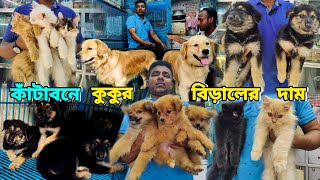 Dog And Cat price in Bangladesh  কাঁটাবনে কুকুর ও বিড়ালের দাম  Pomeranian Dog Price  Persian cat [upl. by Gahan]