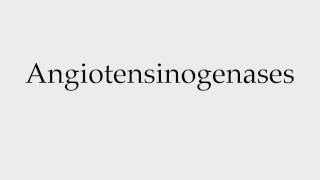 How to Pronounce Angiotensinogenases [upl. by Rehptsirhc]