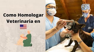 Como Homologar Veterinaria en Estados Unidos [upl. by Mientao926]