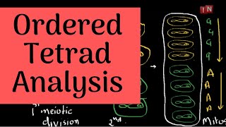 Tetrad AnalysisPart IOrdered Tetrad Analysis [upl. by Nylirrehs]