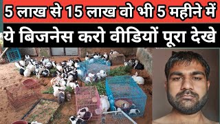 rabbit farming business profit  Khargosh palan se paisa kmaye [upl. by Womack]