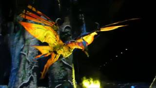 Cirque du Soleil Toruk Clips from Phoenix Arizona [upl. by Nylarat237]