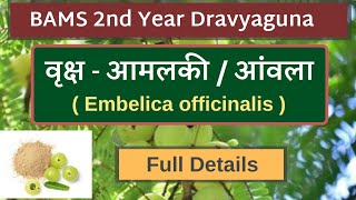 आमलकी  आंवला Embelica officinalis Plant  BAMS 2nd Year Dravyaguna Plant  Gooseberry Plant [upl. by Divadnhoj]