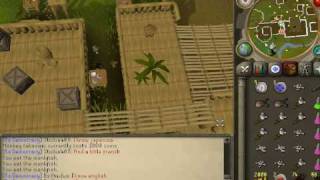 RuneScape  PreEOC  GreeGree Making 101 [upl. by Dagley]