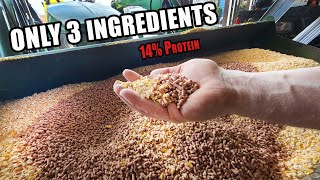 EASY PIG FEED MIX  Only 3 Ingredients 14 Protein [upl. by Ettenuahs]