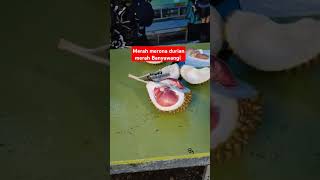 durian merah Banyuwangi warnanya cantik durian durianmerah kuliner [upl. by Gannon]