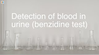 66 Detection of blood in urine benzidine test [upl. by Gallard]