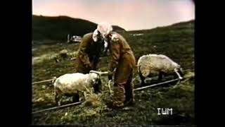 Gruinard Island Scotland X Base Anthrax Trials 1942 43 [upl. by Treulich]