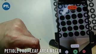 Over 98 of accuracy for leaf area measurement This is how to measure leaf area amp Computer Vision [upl. by Diannne]