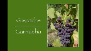 Winecast Grenache [upl. by Edina]