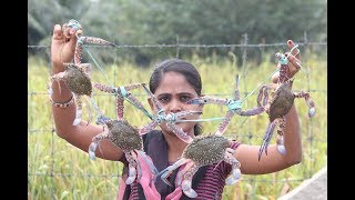 Chettinadu Crab Gravyசெட்டிநாடு நண்டு பிரட்டல் My Village My Food [upl. by Marybella]