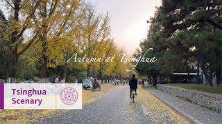 Autumn at Tsinghua [upl. by Ennovoj254]