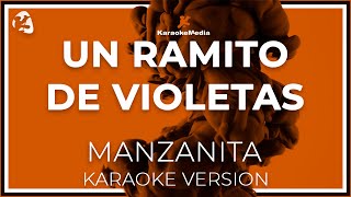 Manzanita  Un Ramito De Violetas LETRA INSTRUMENTAL KARAOKE ISRC ES54I0324312 [upl. by Ephram]