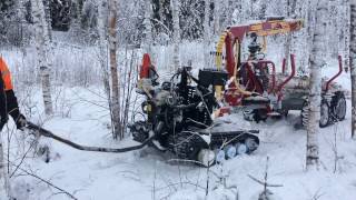 Järnhästen Flex skog med griplastarvagn [upl. by Yenffad905]