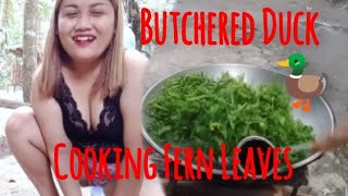 COUNTRY SIDEBUTCHERED NATIVE DUCK AND HARVESTING FERN LEAVES FILIPINO RECIPE FOODMOMMY GRACE VLOG [upl. by Josselyn579]