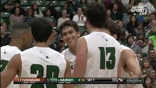 3 Hawaii Vs Tusculum  NCAA Men Volleyball 02032024 [upl. by Attehcram301]