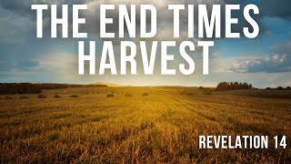 33 THE END TIMES HARVEST REVELATION 141420 [upl. by Helve]