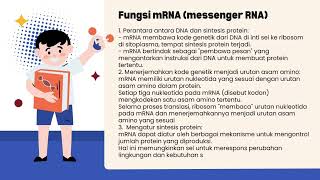 Sintesis Protein kelompok 3 [upl. by Darcia]