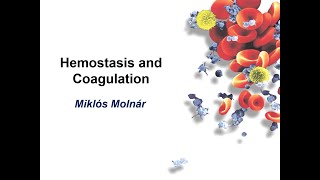 Pathophysiology of Hemostatic disorders  Theoretical view [upl. by Odeen]