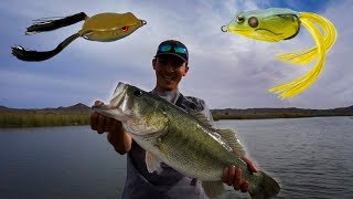 SPRO vs LIVETARGET Topwater Frog BATTLES [upl. by Anileve]