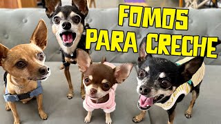 FOMOS PARA UMA CRECHE DE CÃES E RECEBEMOS BOLETIM DE COMPORTAMENTO [upl. by Nelson975]