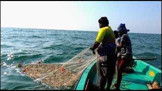 PRAWN CATCHING AT SEA [upl. by Pero451]