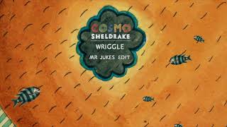 Cosmo Sheldrake  Wriggle Mr Jukes Edit [upl. by Stephan]