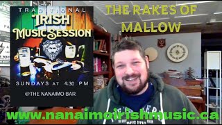 Practice Irish Session for The Rakes of Mallow Polka  Episode 17 [upl. by Acirea]