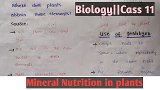 Mineral Nutrition in plantsAutotrophic nutritionClass 11 Chapter 12Easy discussion [upl. by Alastair]