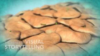 Rosacea Treatment Mode of Action Animation [upl. by Yeliw683]